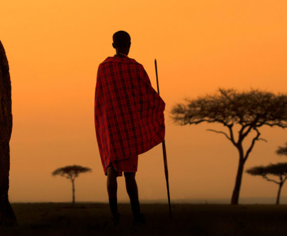 Serengeti Masai