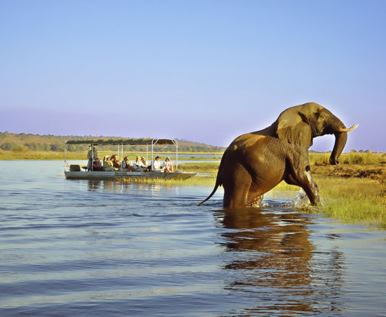 Botswana Delta Safaris