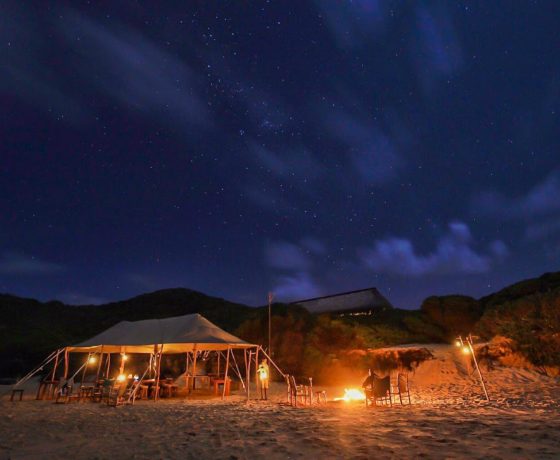 Luxury Mozambique Eco-Tour – Anvil Bay Escape