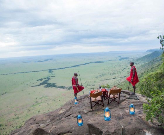 Exclusive Kenya Safari – 5-Day Masai Mara Wildlife Adventure