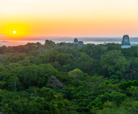 Luxury Panama Tour – Cultural & Natural Adventure