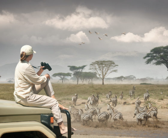 Luxury Tanzania Safari – Lake Manyara, Ngorongoro & Serengeti